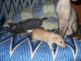 /album/fotogaleria/p1013457-jpg/