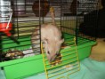 /album/fotogaleria/p1013464-jpg/