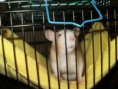 /album/fotogaleria/p1013653-jpg/