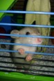/album/fotogaleria/imag0076-jpg/